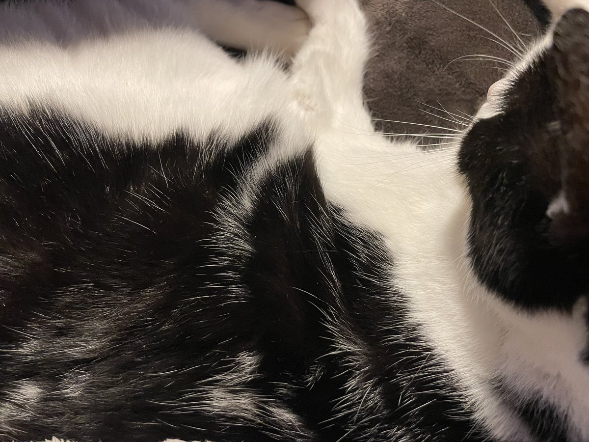 天野百恵🥞あまのもえ tweet media