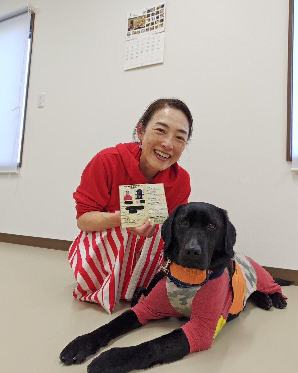 (公式)公益社団法人 日本聴導犬推進協会 tweet media