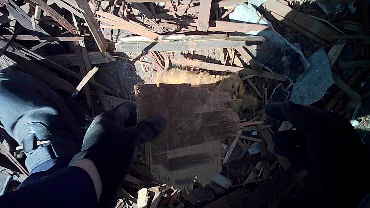 ジェシー tweet media