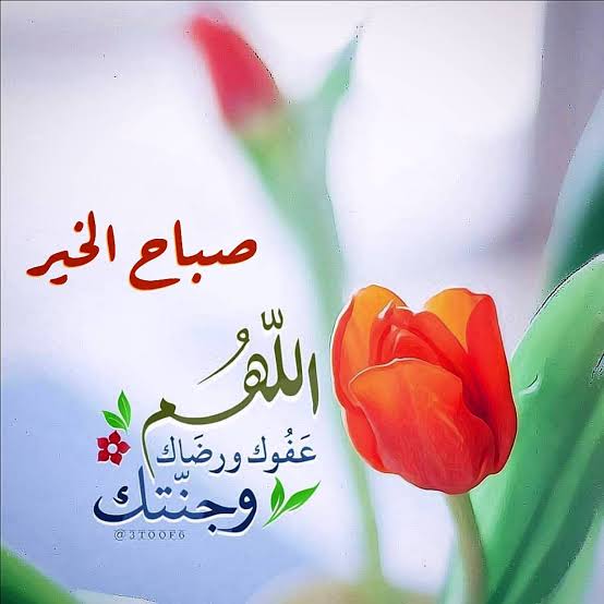 . الطير الأزرق 🇪🇬 د . حسام عباس🇪🇬 tweet media