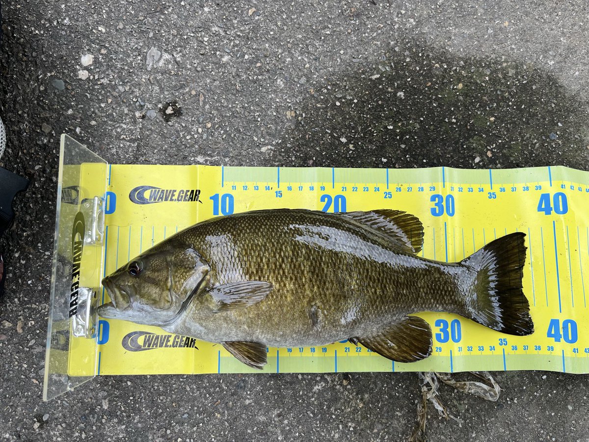 ＣＲＥＷ tweet media