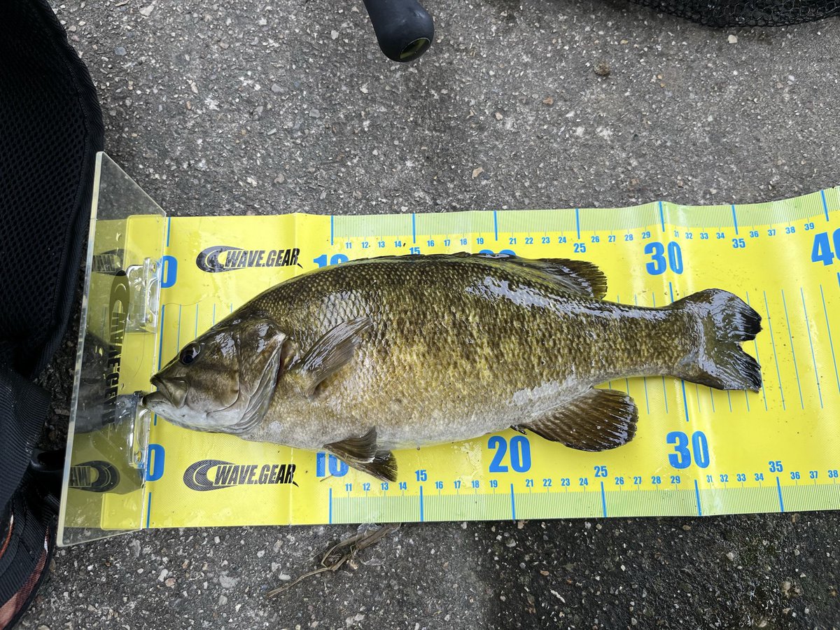 ＣＲＥＷ tweet media