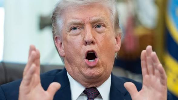 tiziana ferrario 🇮🇹🇪🇺🌍 tweet media