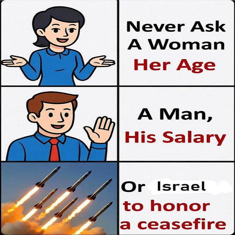 Tim Langan tweet media