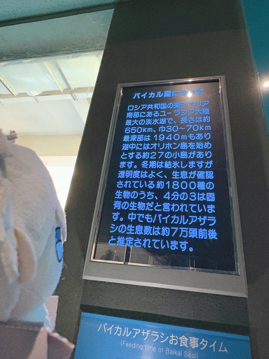 くろてら@固定通販 tweet media