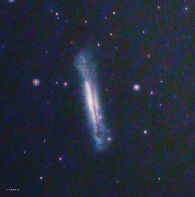 Ilys_krbn tweet media