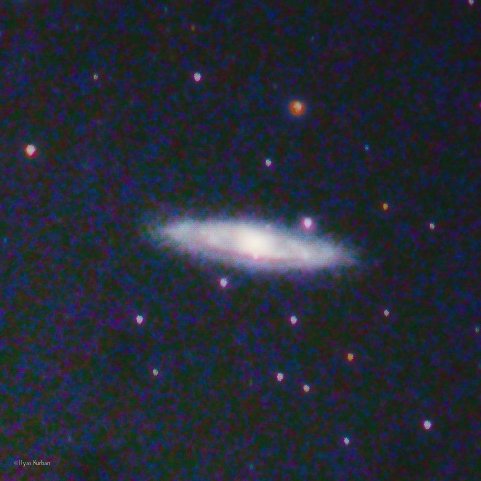 Ilys_krbn tweet media