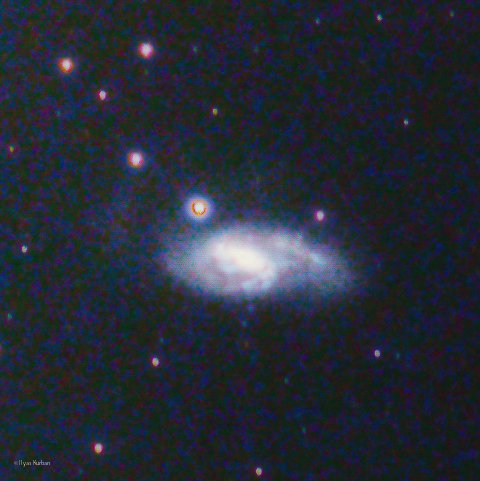 Ilys_krbn tweet media