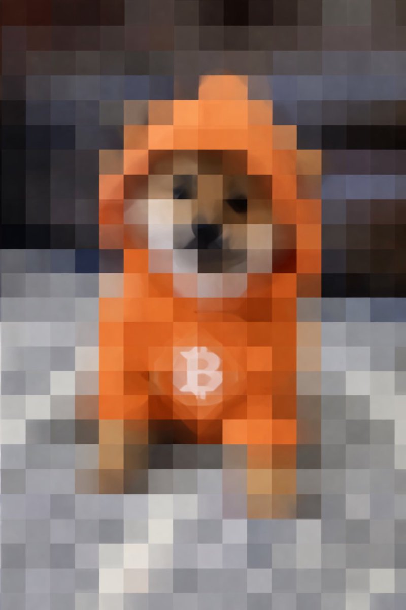 CryptoBudhha ❤️ $DOG tweet media
