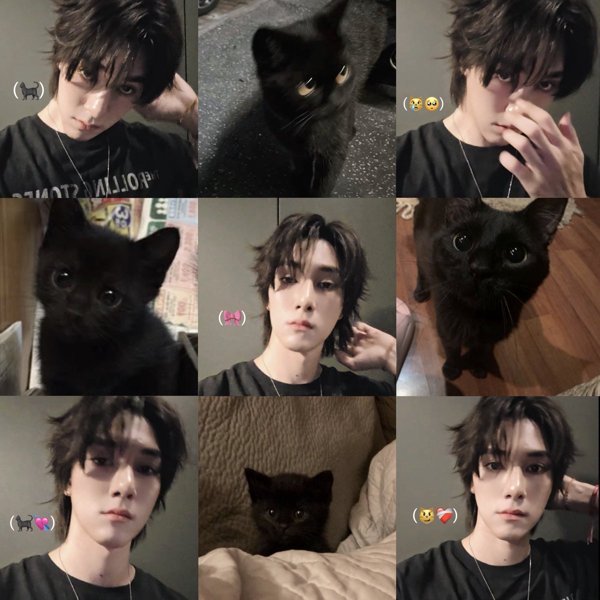 마 meow🐈‍⬛ ྀི tweet media