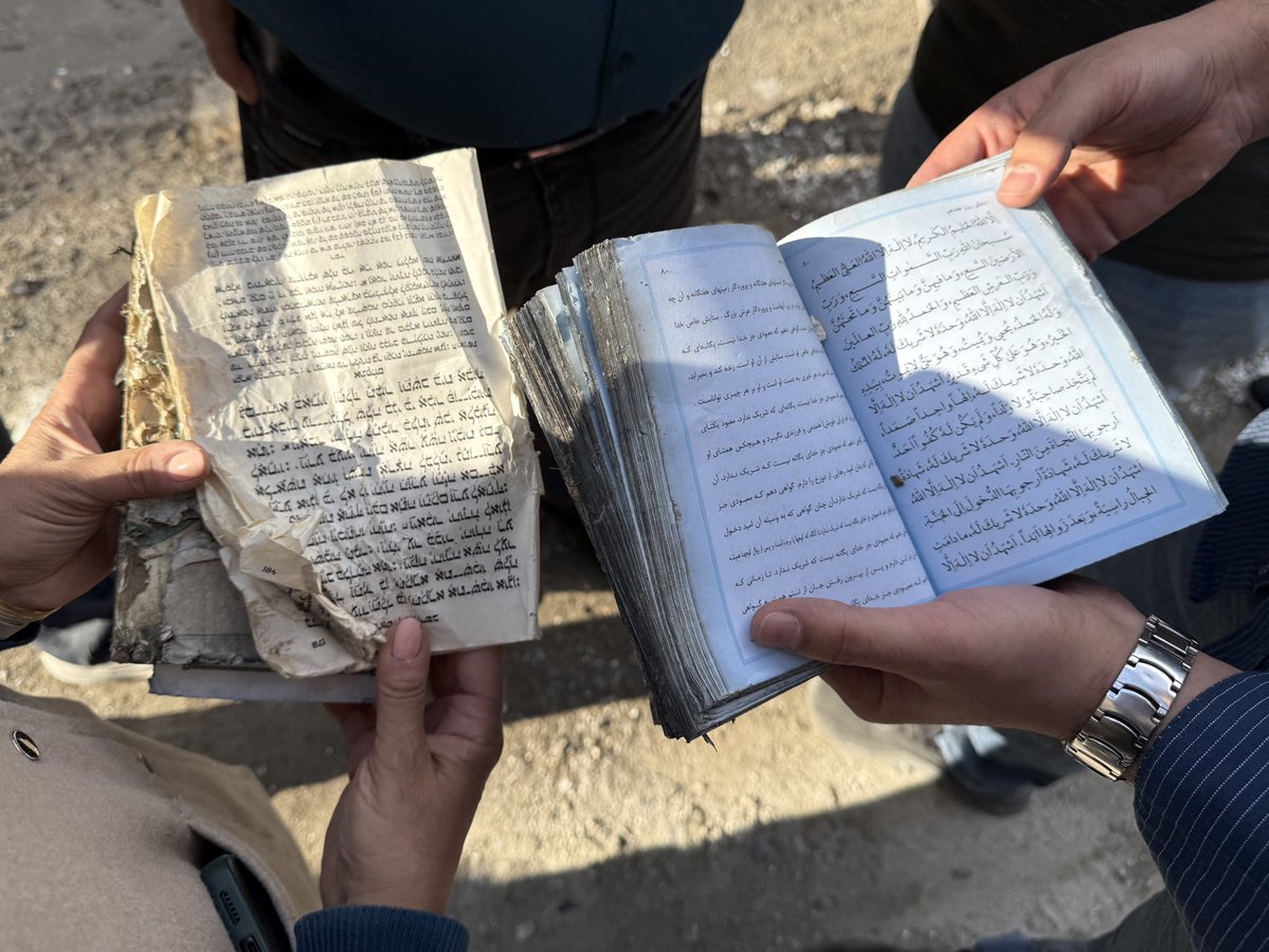 Mia Legido Quigley tweet media