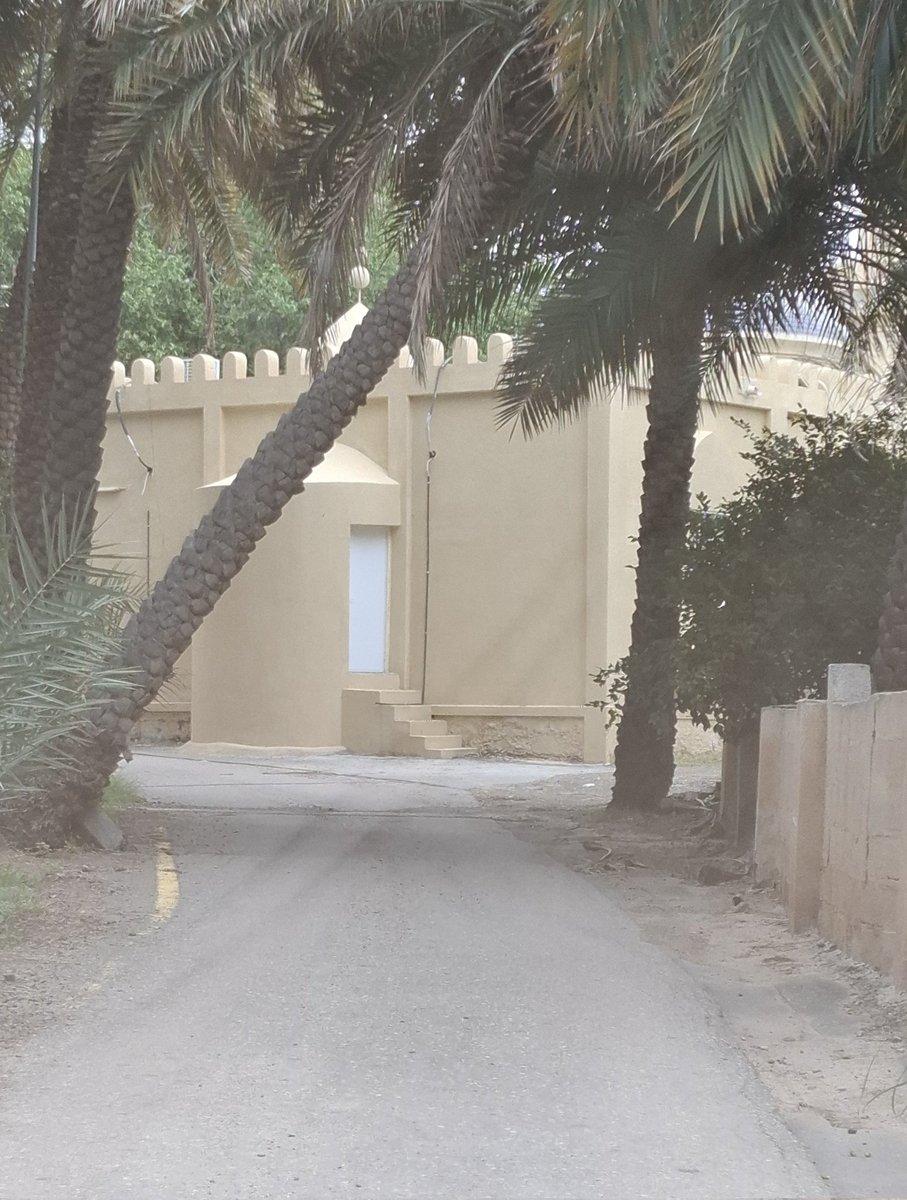 الگلبانے tweet media