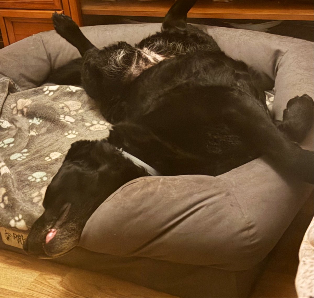 Cada una duerme como quiere… Feliz dia!