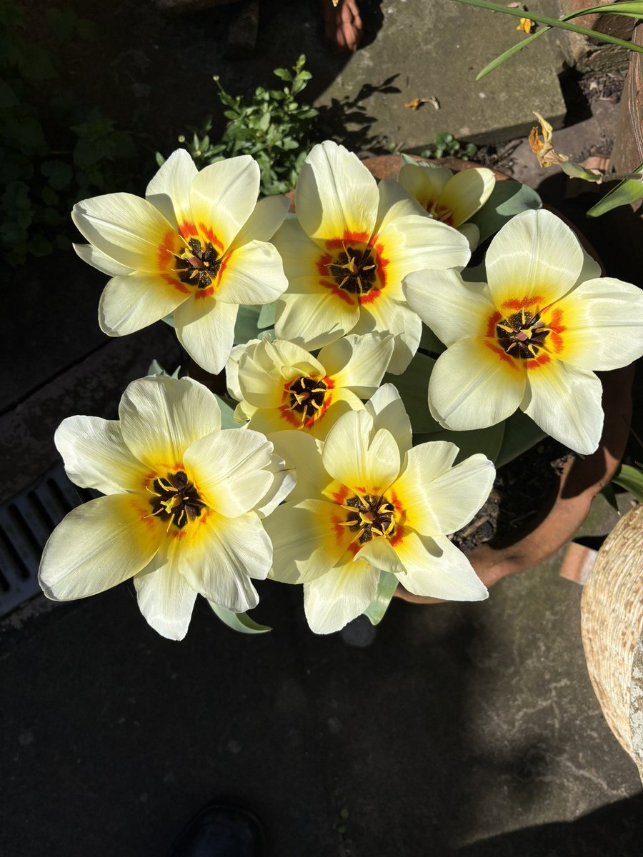 Mike Bates tweet media