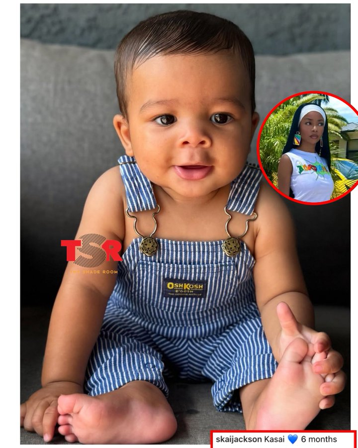 Wild Videos tweet media