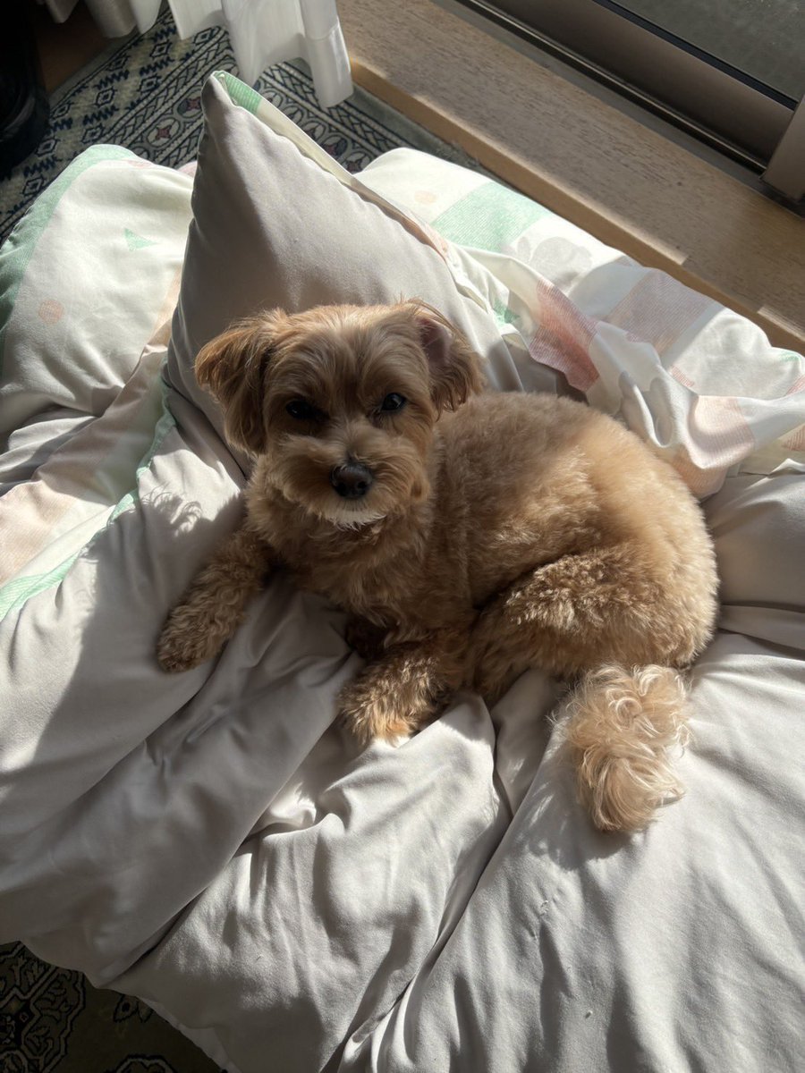 新宿ゴールデン街BUTI tweet media