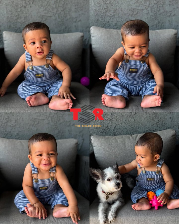 Wild Videos tweet media