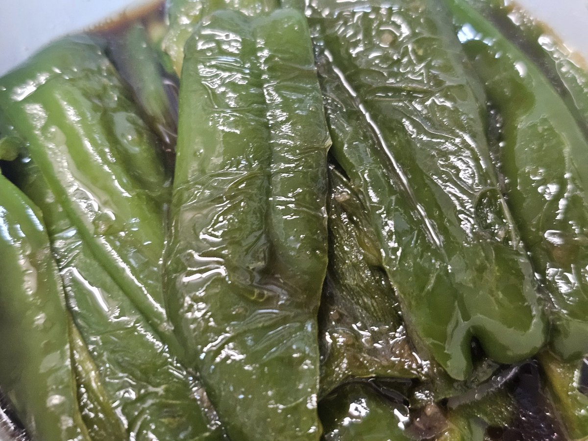 大神朱璃🐺🦐 tweet media