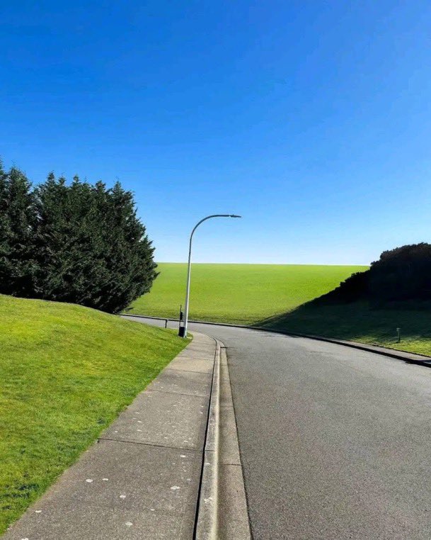 🦋still pretty tweet media