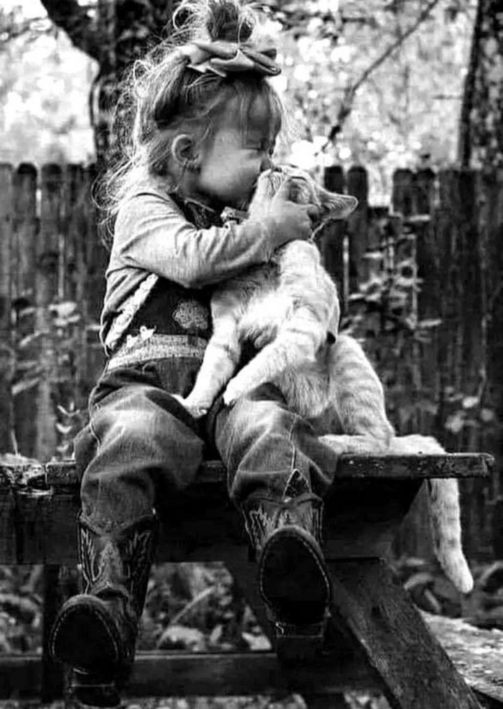 Kahveni iç kedoyu öp
güneşe Bruce Willis gülüşü yap