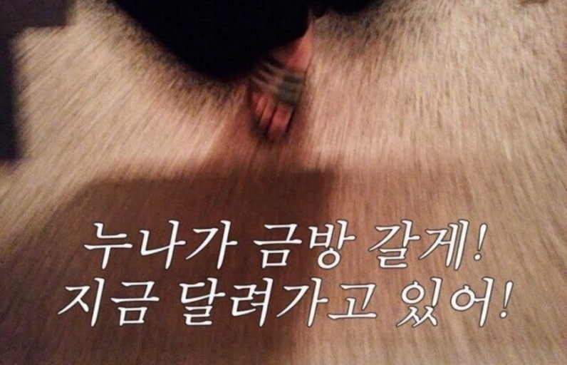 mindore🐥 tweet media