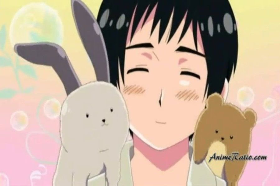 midget france of shtwt tweet media