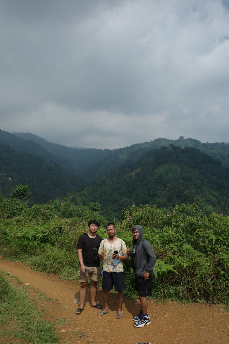 hmph milci tweet media