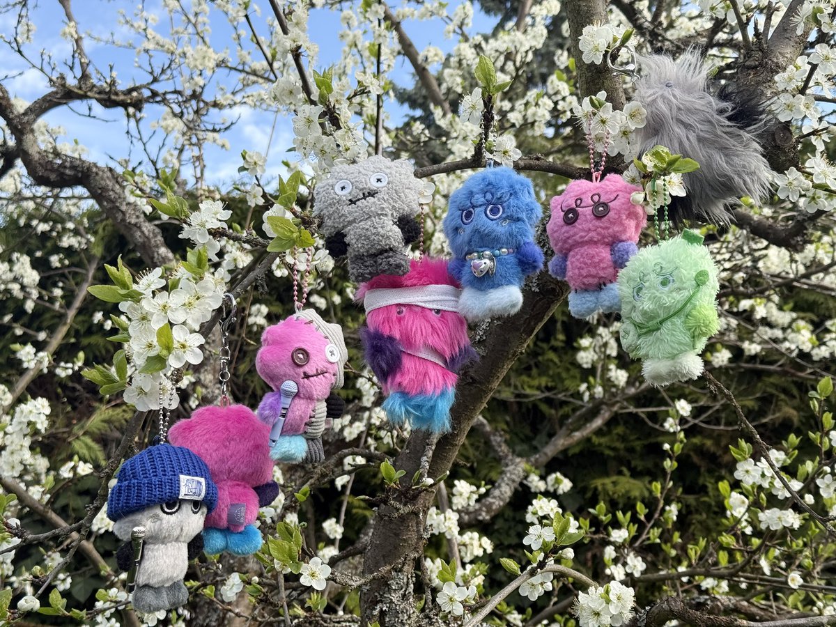 키요미🪻 tweet media