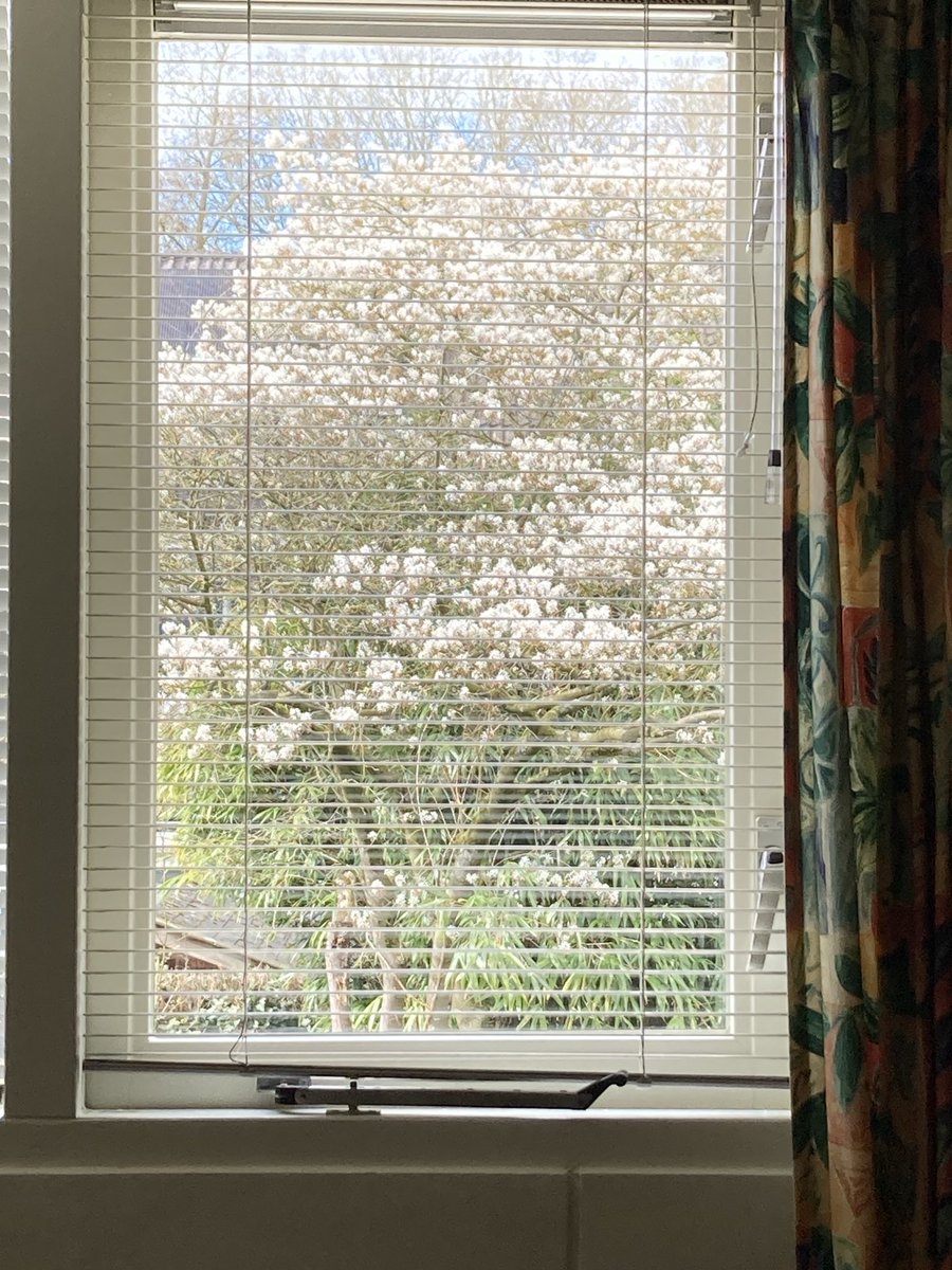 Clemens Nieuwenhuis @clemensblik.bsky.social tweet media