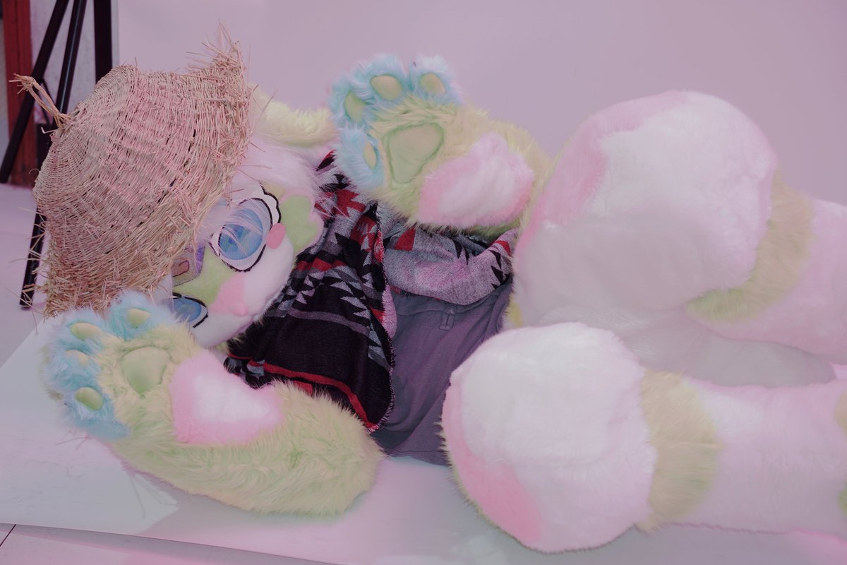 牛大志falni tweet media