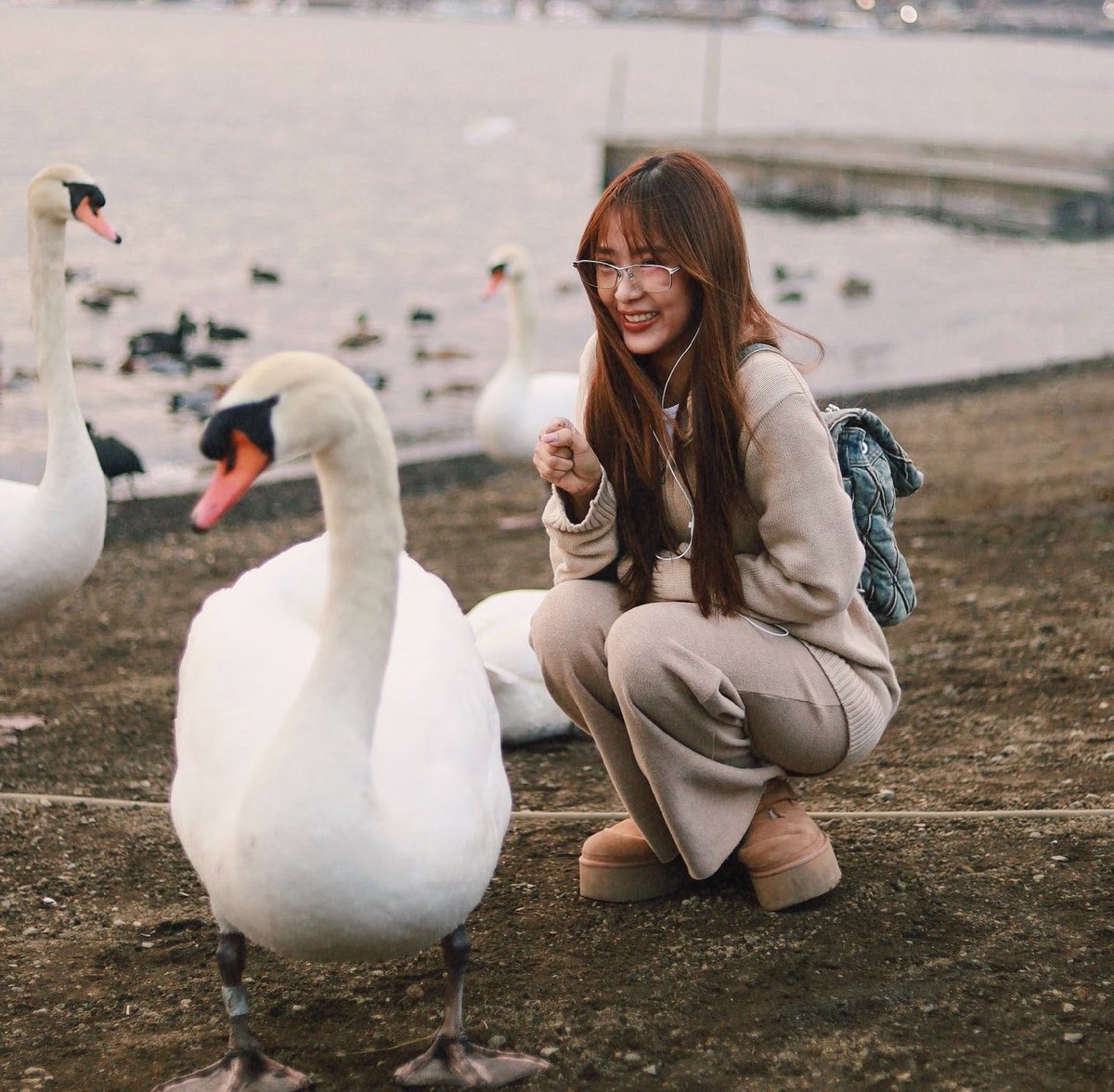 มฝ.หัวใจนฟ. tweet media