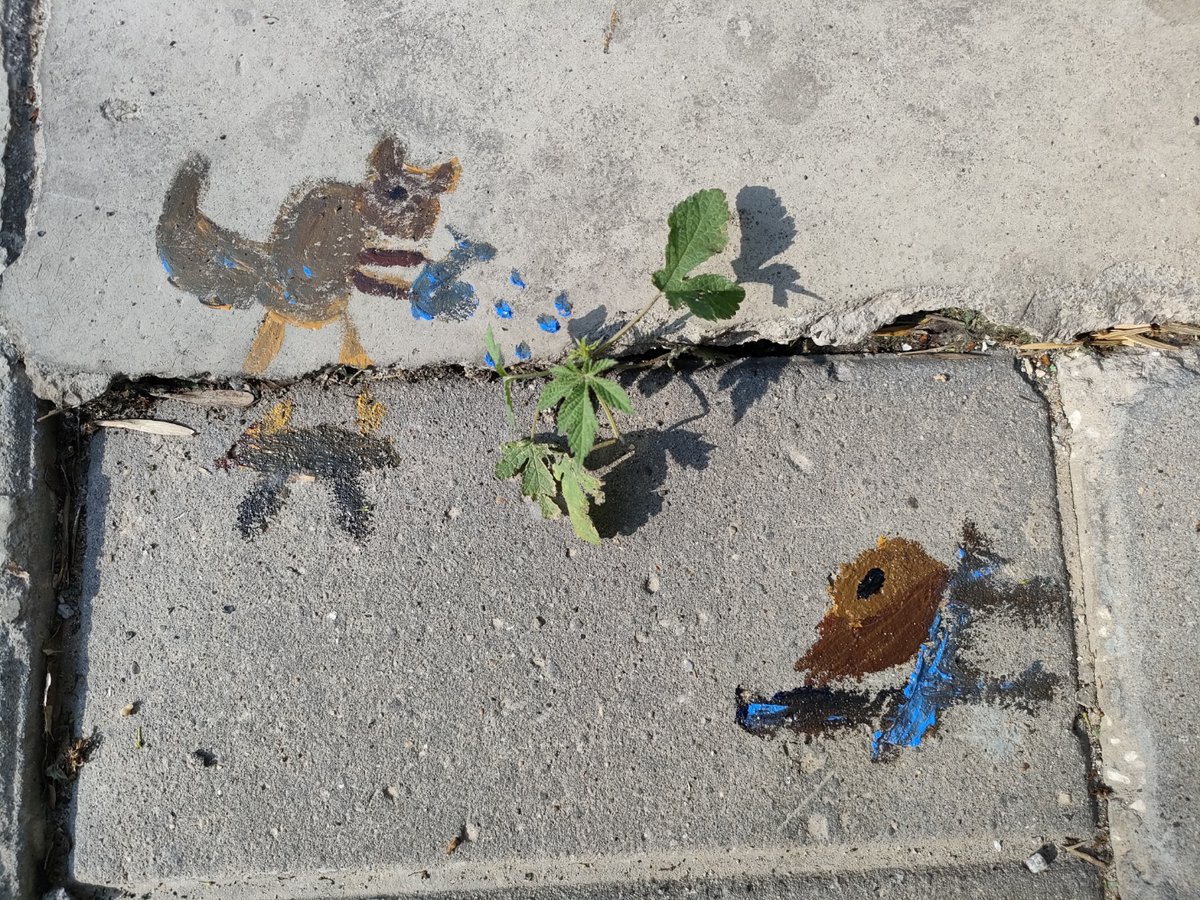 love and war tweet media