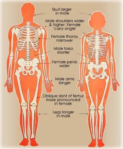 𝘊𝘩𝘦𝘳𝘶𝘣 tweet media