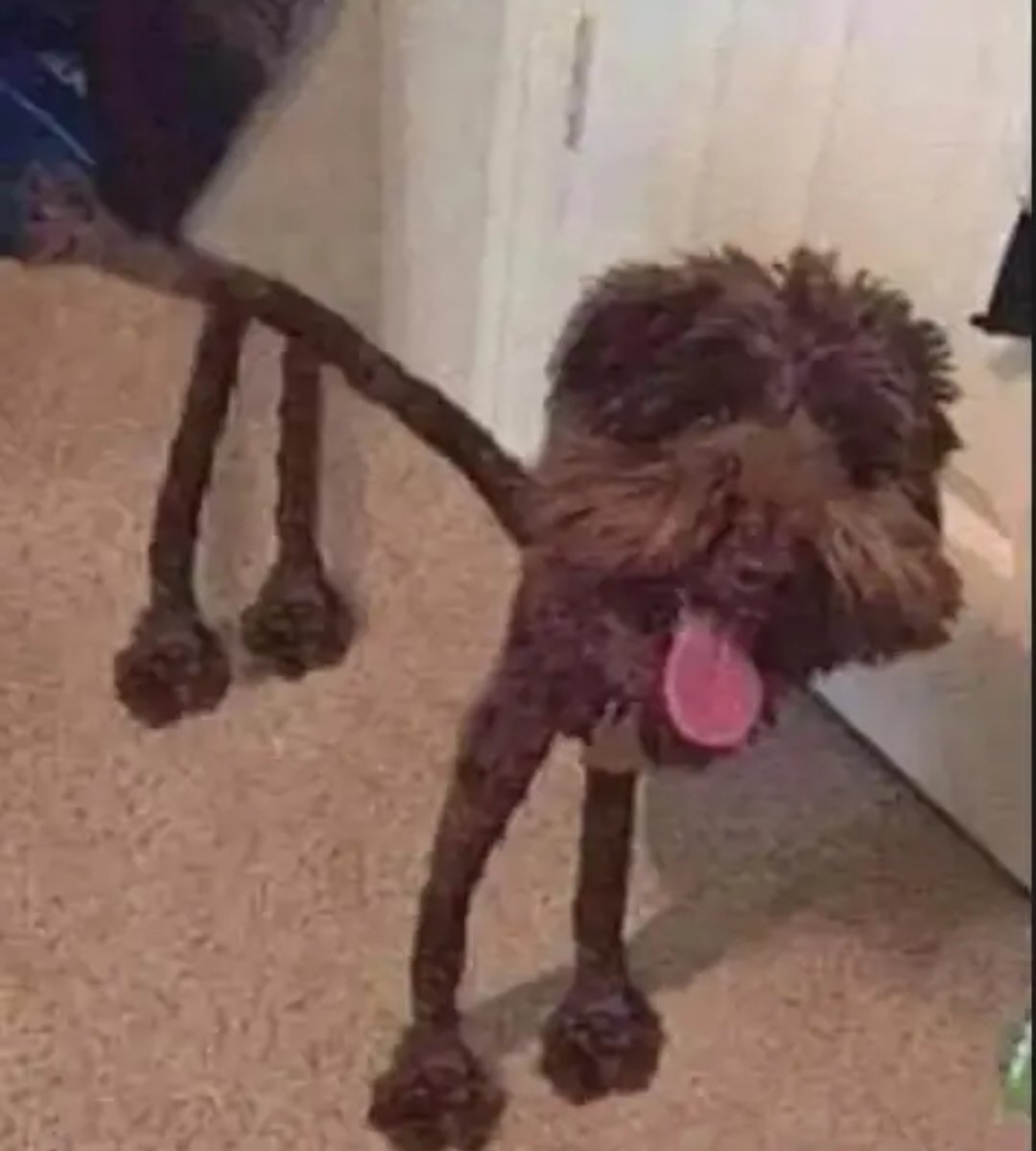 DeVon (@devoner12009) on Twitter photo 