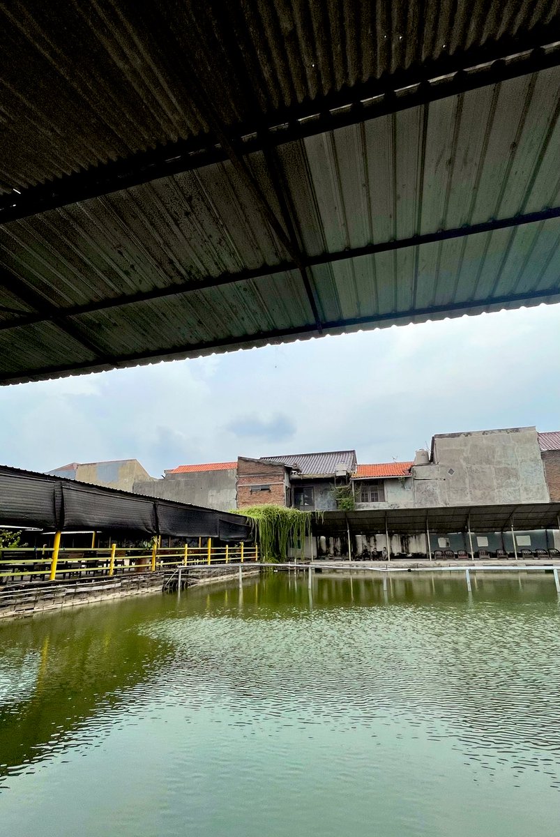 Yuyu kang kang 🦀 tweet media