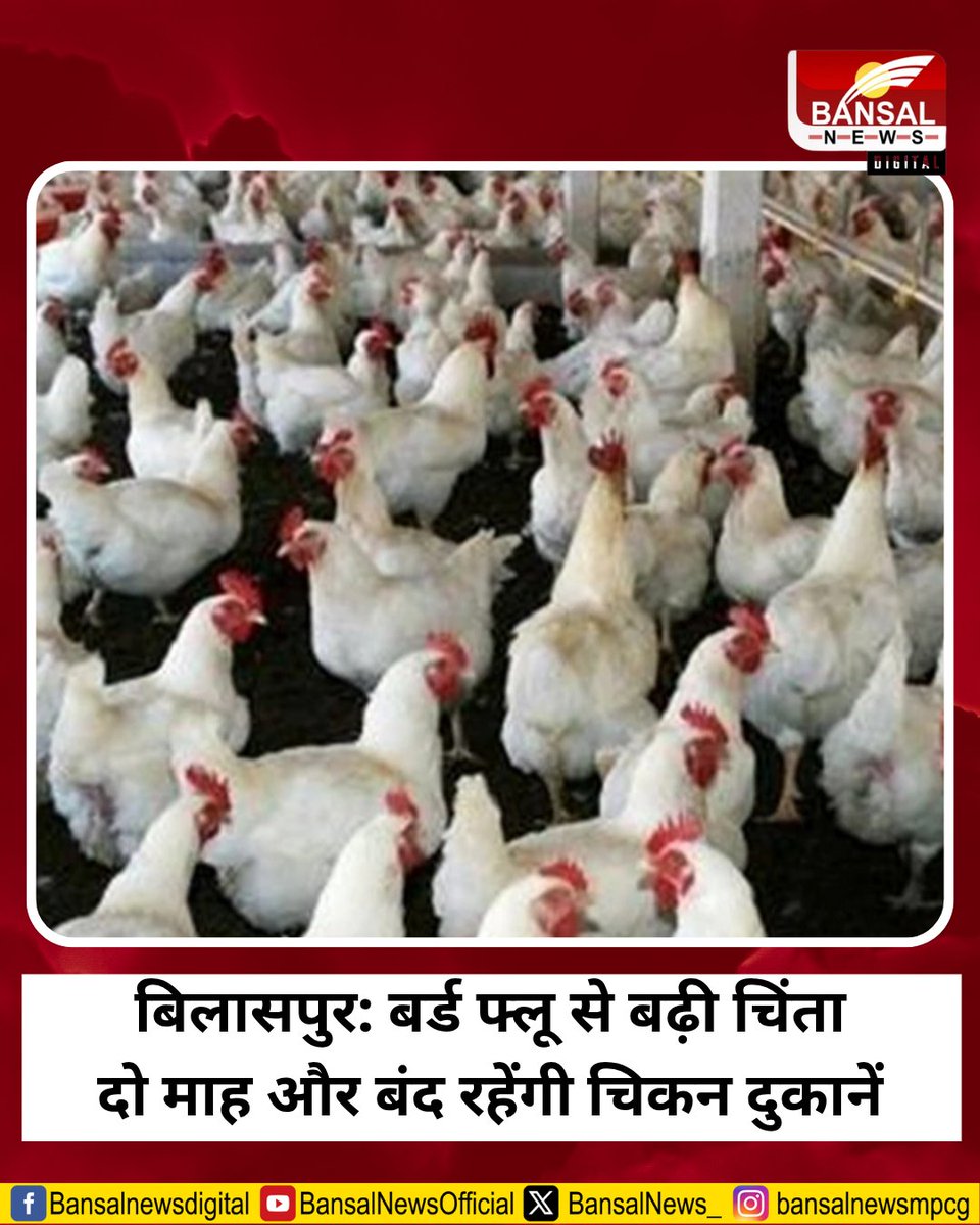 BansalNews_'s tweet photo. बिलासपुर: बर्ड फ्लू का खतरा, चिकन दुकानों पर दो माह का प्रतिबंध

#Bilaspur #BirdFlu #PoultryBan #HealthAlert #ChickenShops #SampleTesting #GovernmentOrder #DiseaseControl https://t.co/xM5lNljuVE
