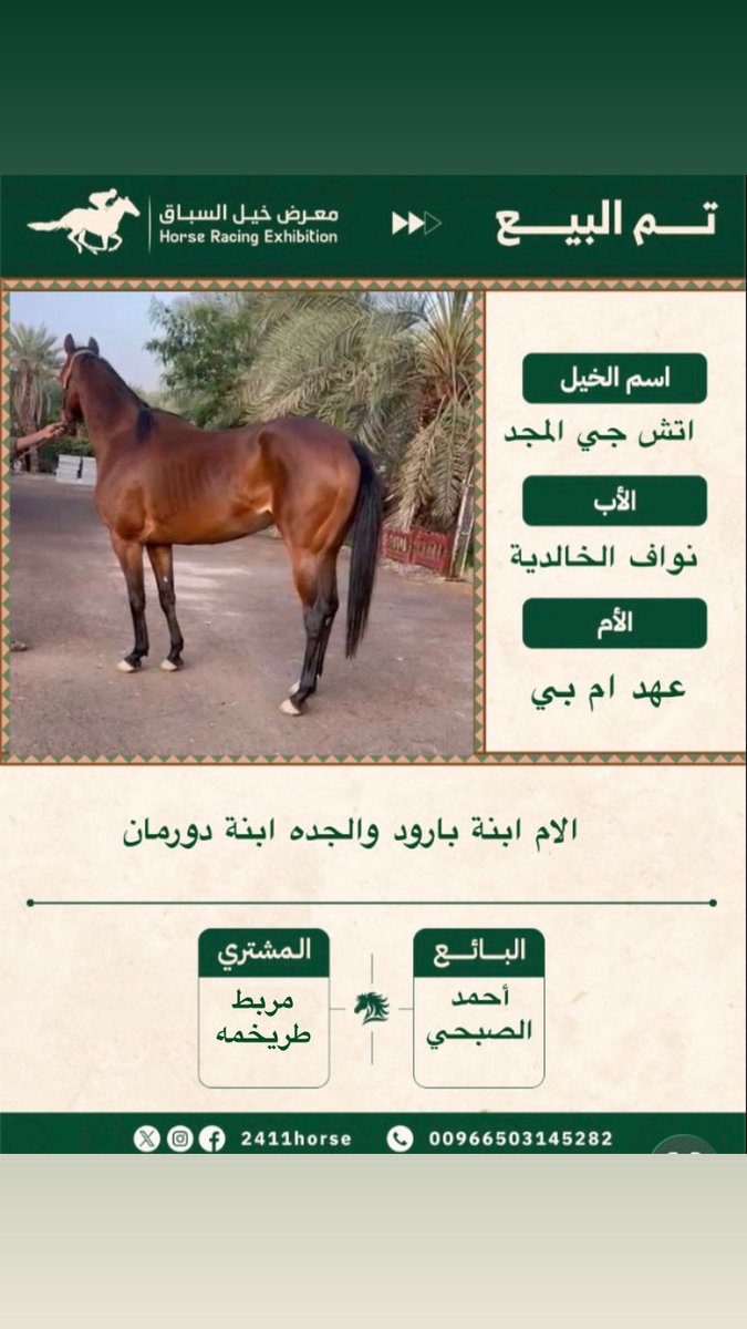 معرض خيل السباق (@24111horse) on Twitter photo 