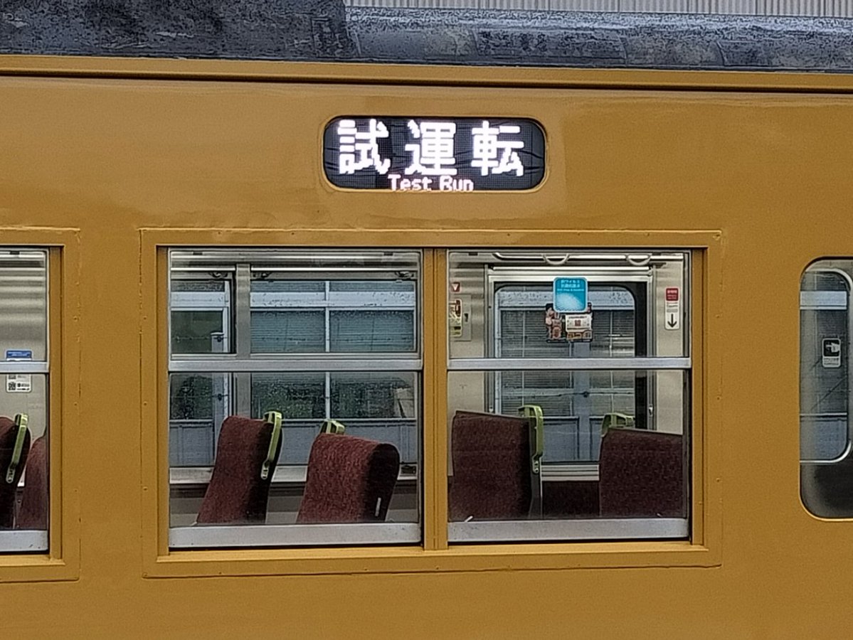 伊予柑 tweet media