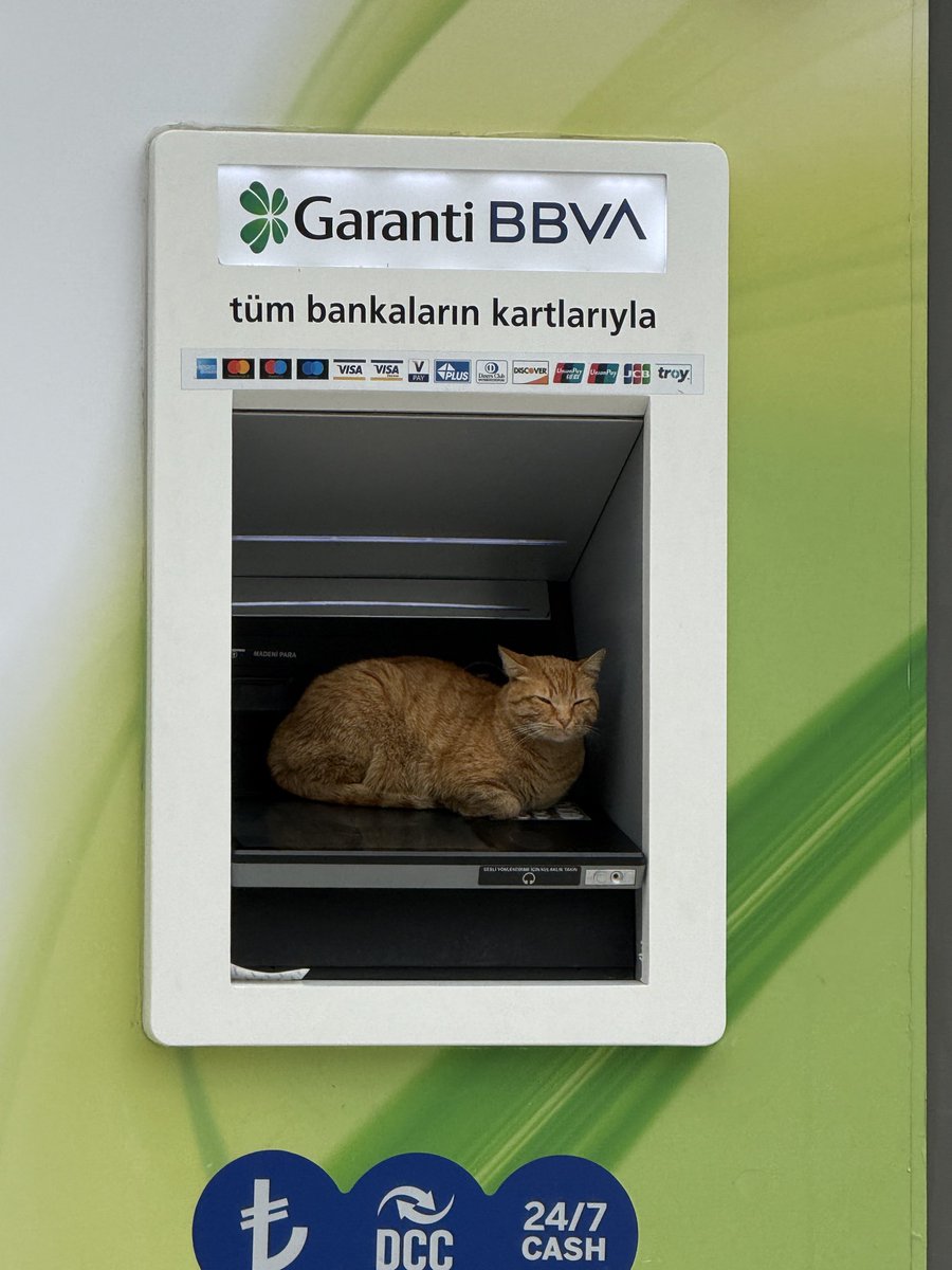 hmtbas's tweet photo. @GarantiBBVA https://t.co/RuCAZRy0ps