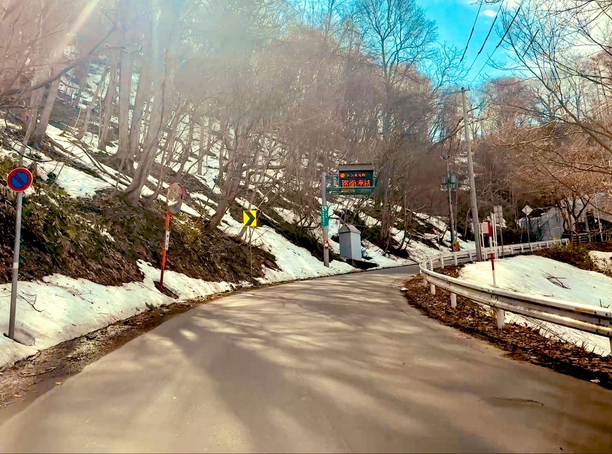 Starry tanuko 🍸 tweet media