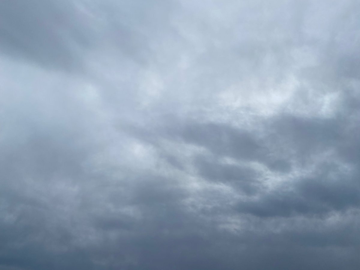 leftyblue tweet media