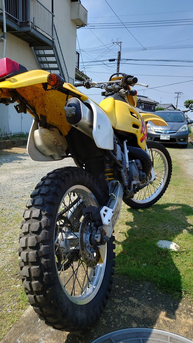 次郎丸@ (うまぴょい武者) tweet media