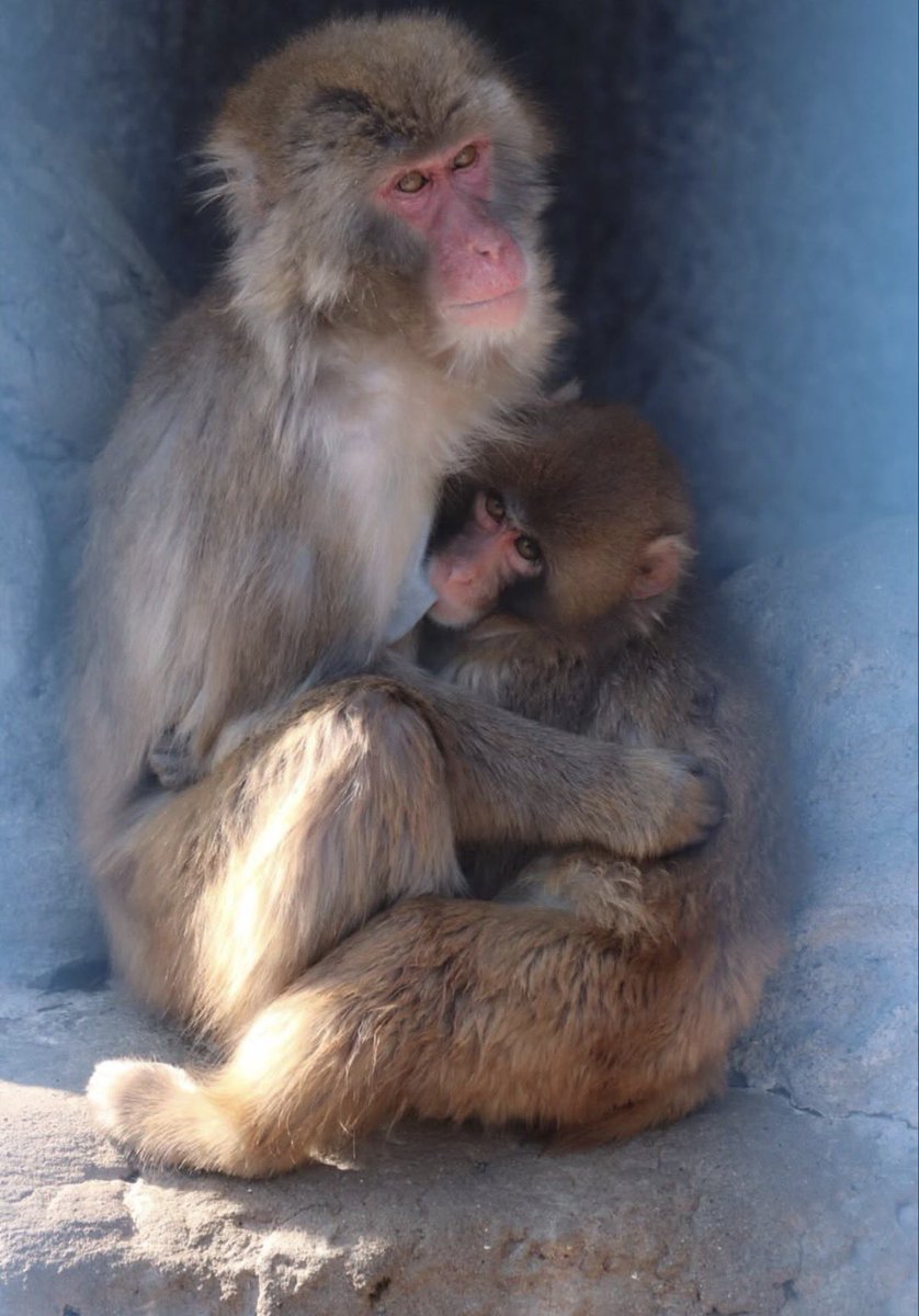 baekhyun_a tweet media