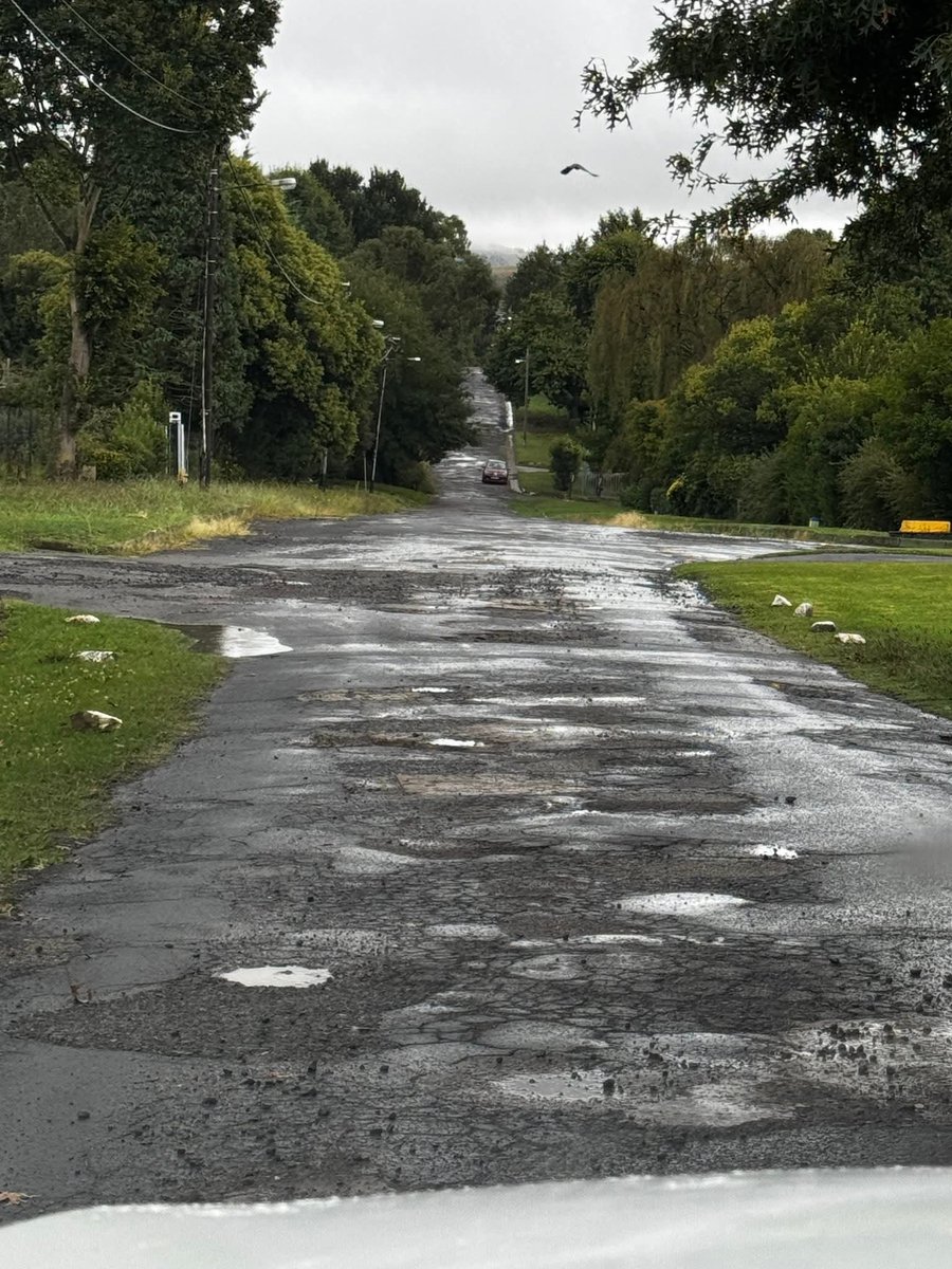 Cllr_Welekazi💜🇿🇦 tweet media