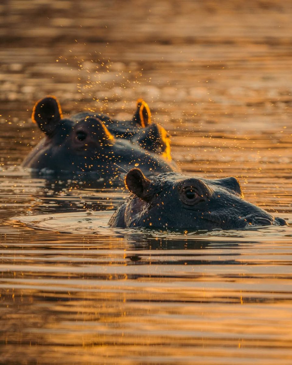 Profound Travel and Tours tweet media