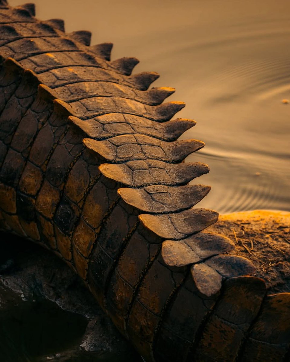 Profound Travel and Tours tweet media