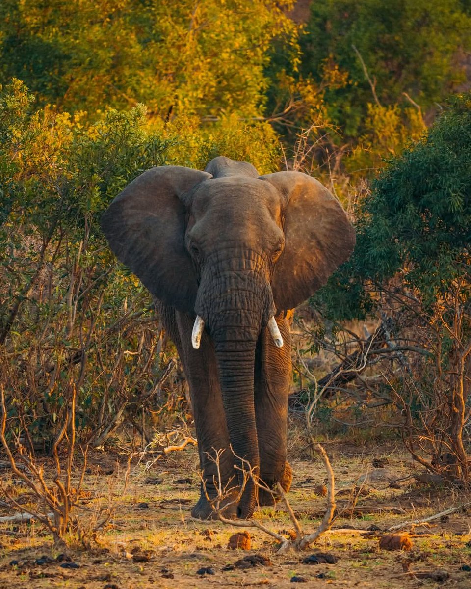 Profound Travel and Tours tweet media