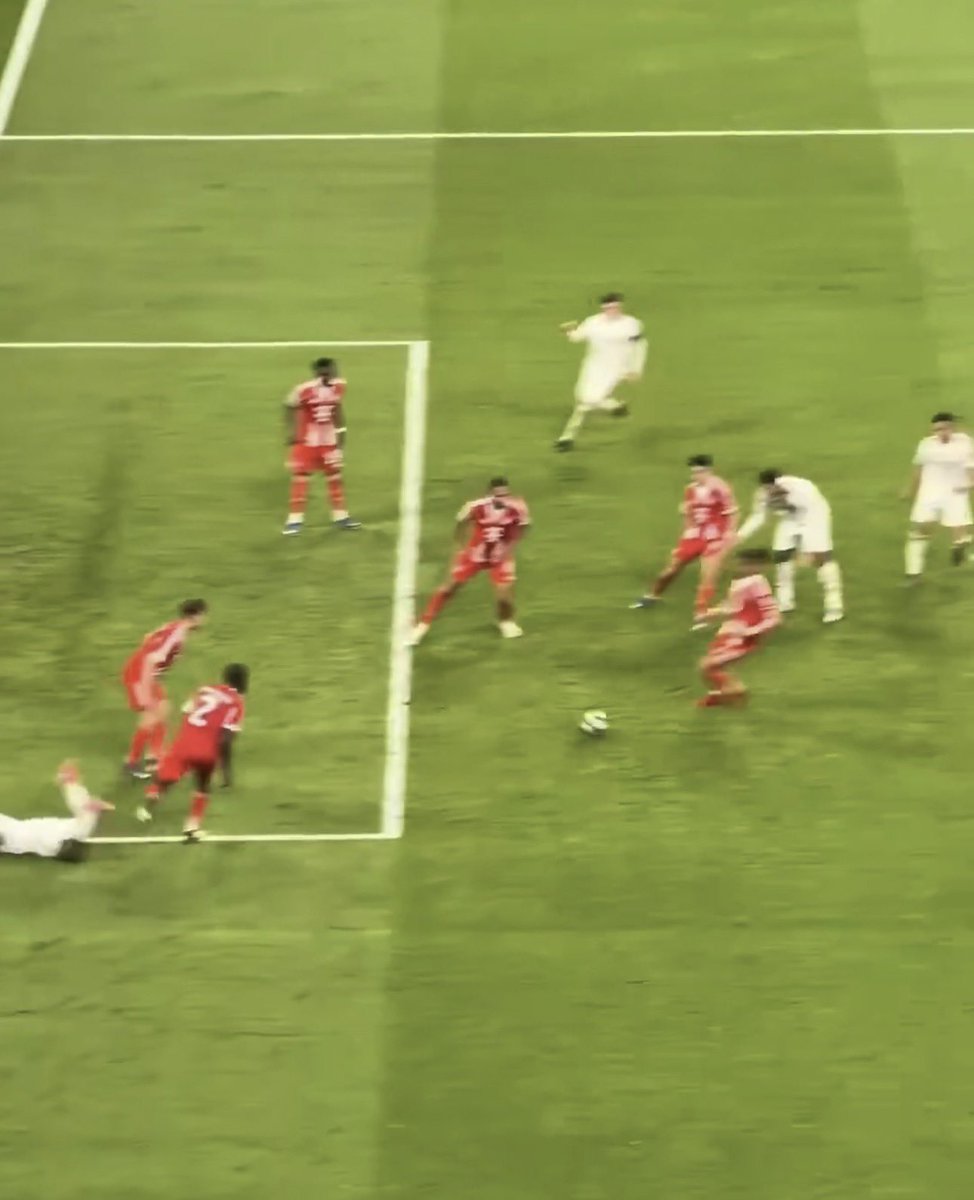 Yru 🐢 tweet media