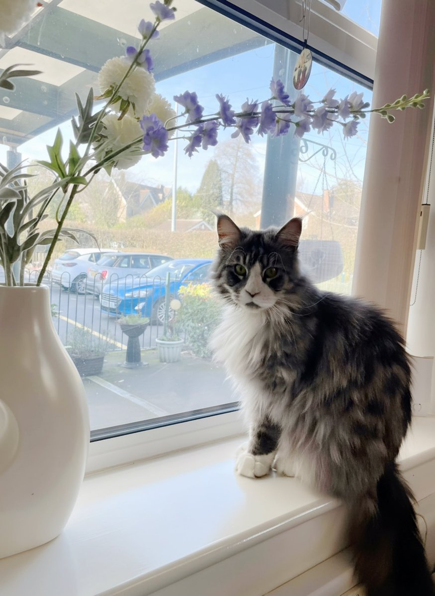 Aloysius O'Hare in memory of Angel Cilla 🌈 tweet media