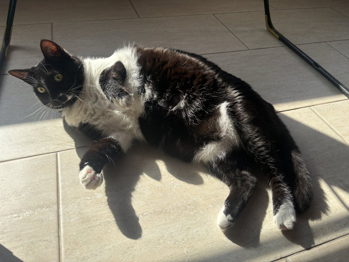 Kapsül 💊 tweet media